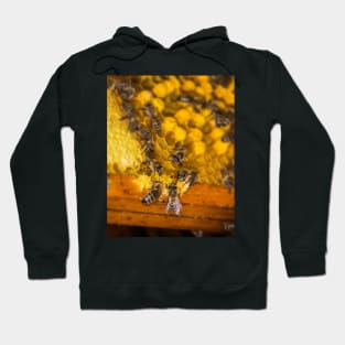 Honey for breakfast Hoodie